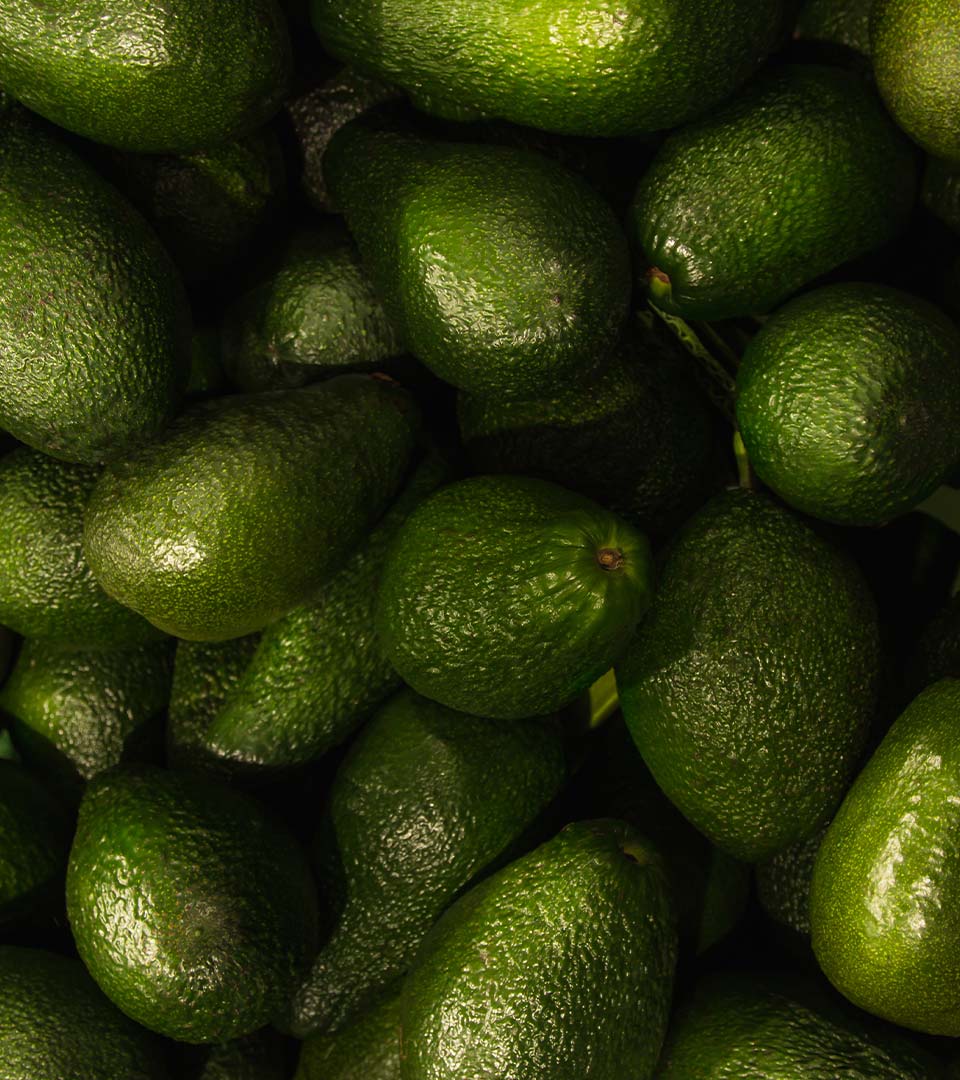 avocados